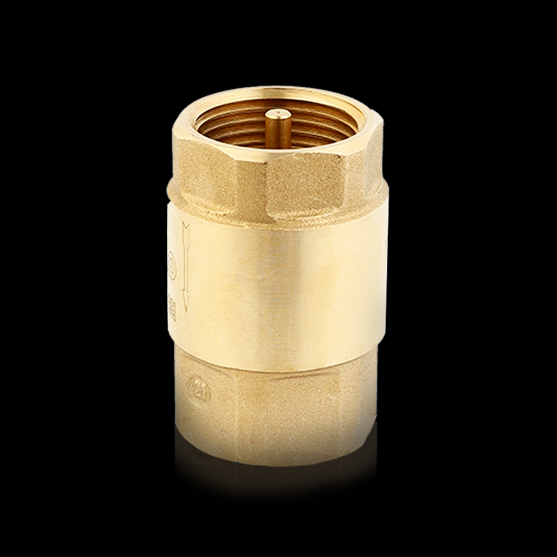 18pn 25pn Up to 90° F-F ISO 228/1 Brass Spring Check Valve