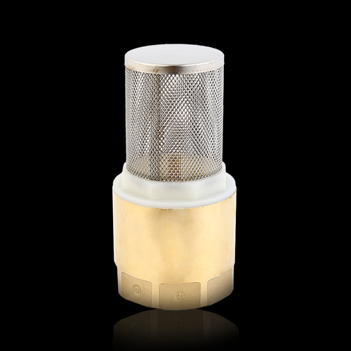 Pn6 Pn10 Brass Foot Valve With Stainless Steel Strainer Filter